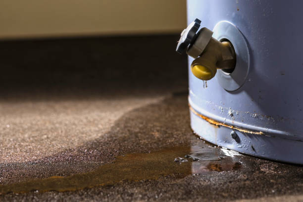 Best Fire Damage Restoration  in Rainbow Lakes Estates, FL