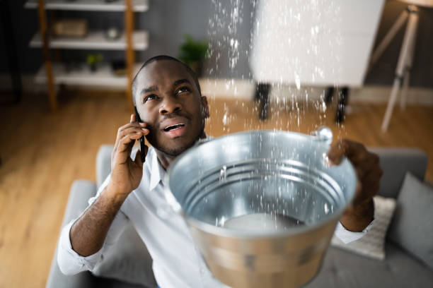 Best Water damage restoration near me  in Rainbow Lakes Estates, FL