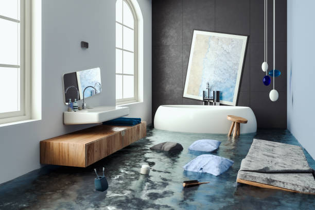 Best Mold removal after water damage  in Rainbow Lakes Estates, FL