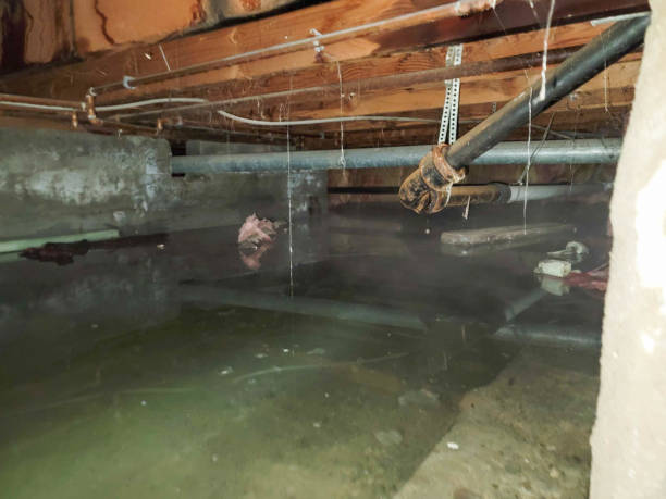 Sewage cleanup and water damage restoration in Rainbow Lakes Estates, FL