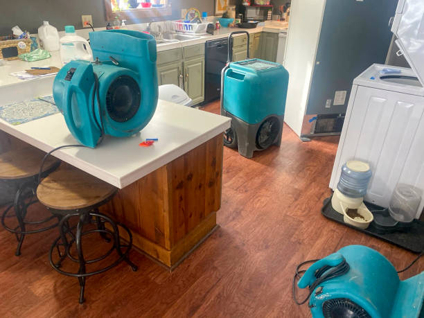 24/7 water damage repair in Rainbow Lakes Estates, FL