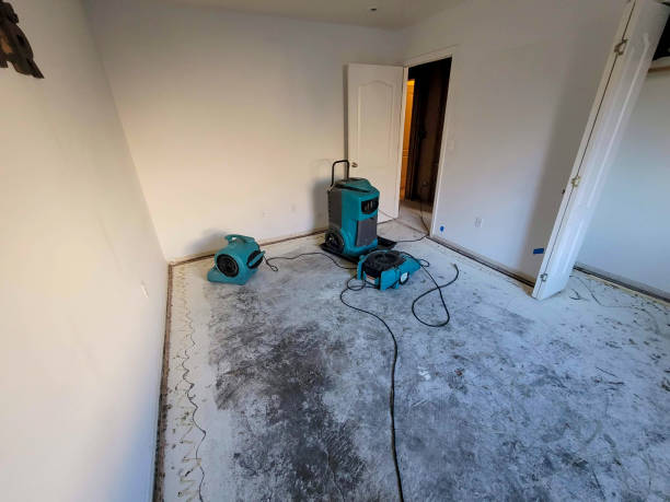 Best Carpet water damage restoration  in Rainbow Lakes Estates, FL
