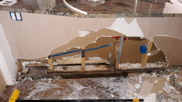 Best Local water damage restoration  in Rainbow Lakes Estates, FL