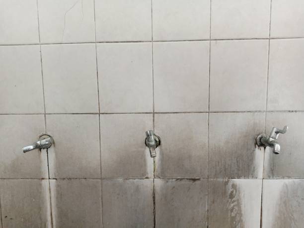 Best Basement water damage restoration  in Rainbow Lakes Estates, FL