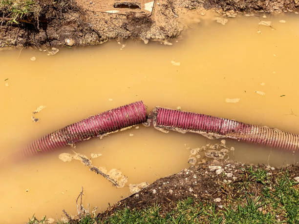 Best Commercial water damage restoration  in Rainbow Lakes Estates, FL
