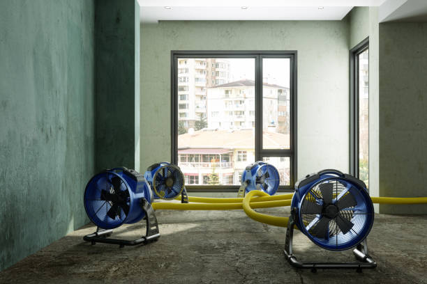 Best Water damage restoration near me  in Rainbow Lakes Estates, FL