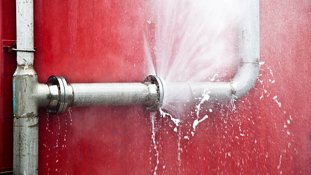  Rainbow Lakes Estates, FL Water damage restoration Pros